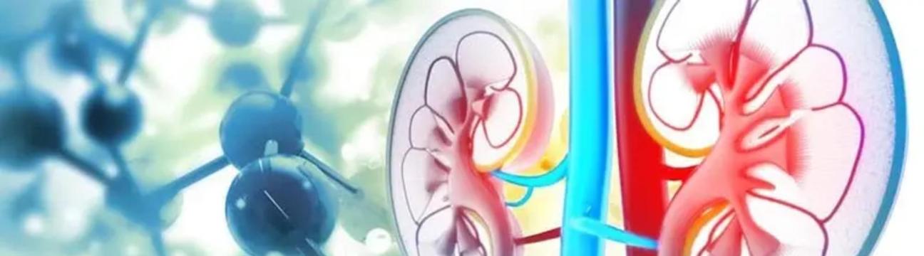 North Delhi Uro Gynae