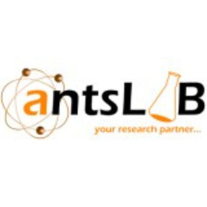 Ants Lab