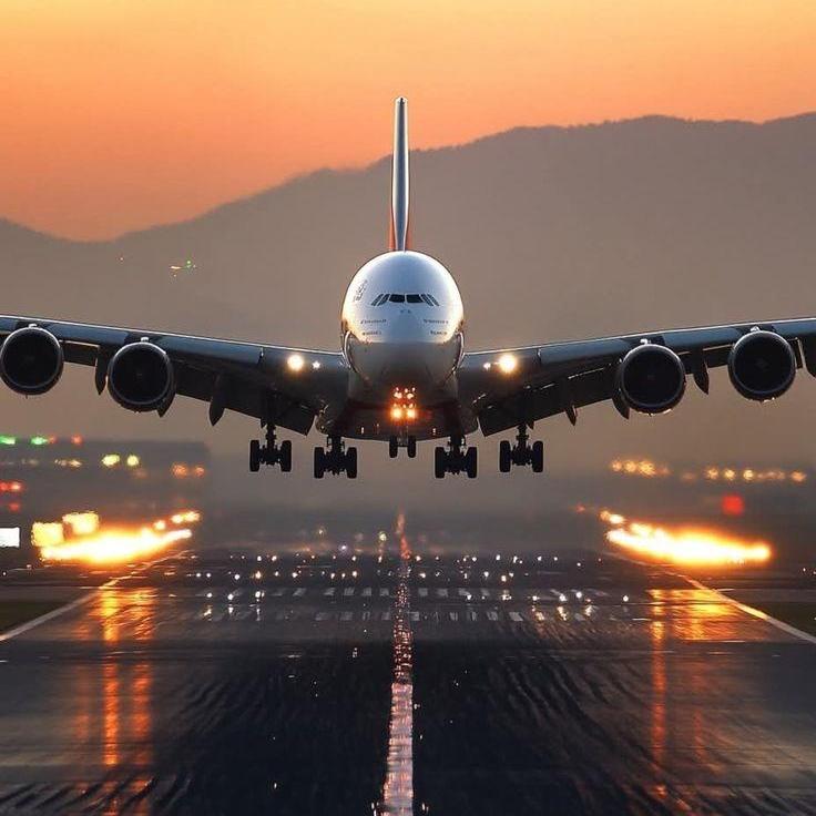 Flighys Official22