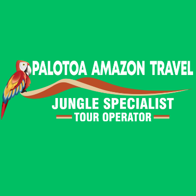 Palotoa  Amazon