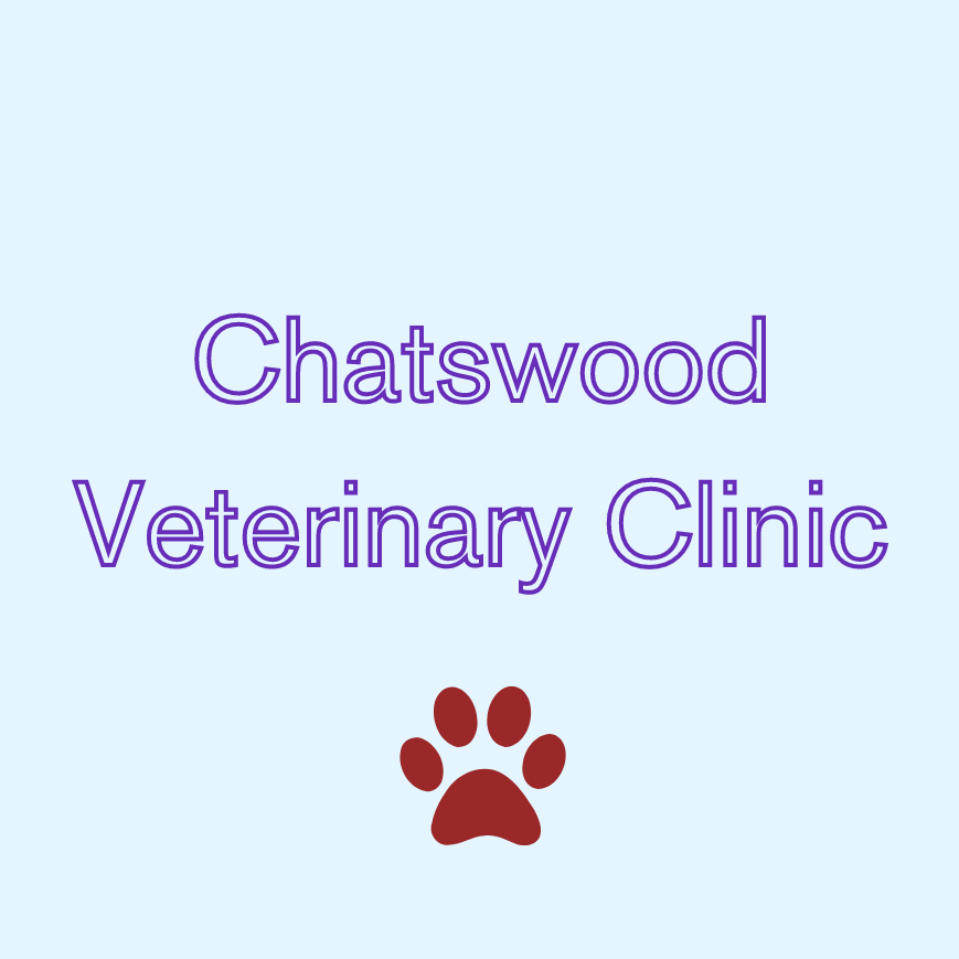 Chatswood  Vet
