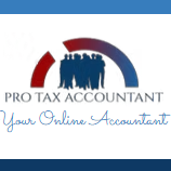 Pro Tax Accountant
