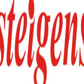 STEIGENS  LLC