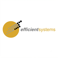 Efficient Systems