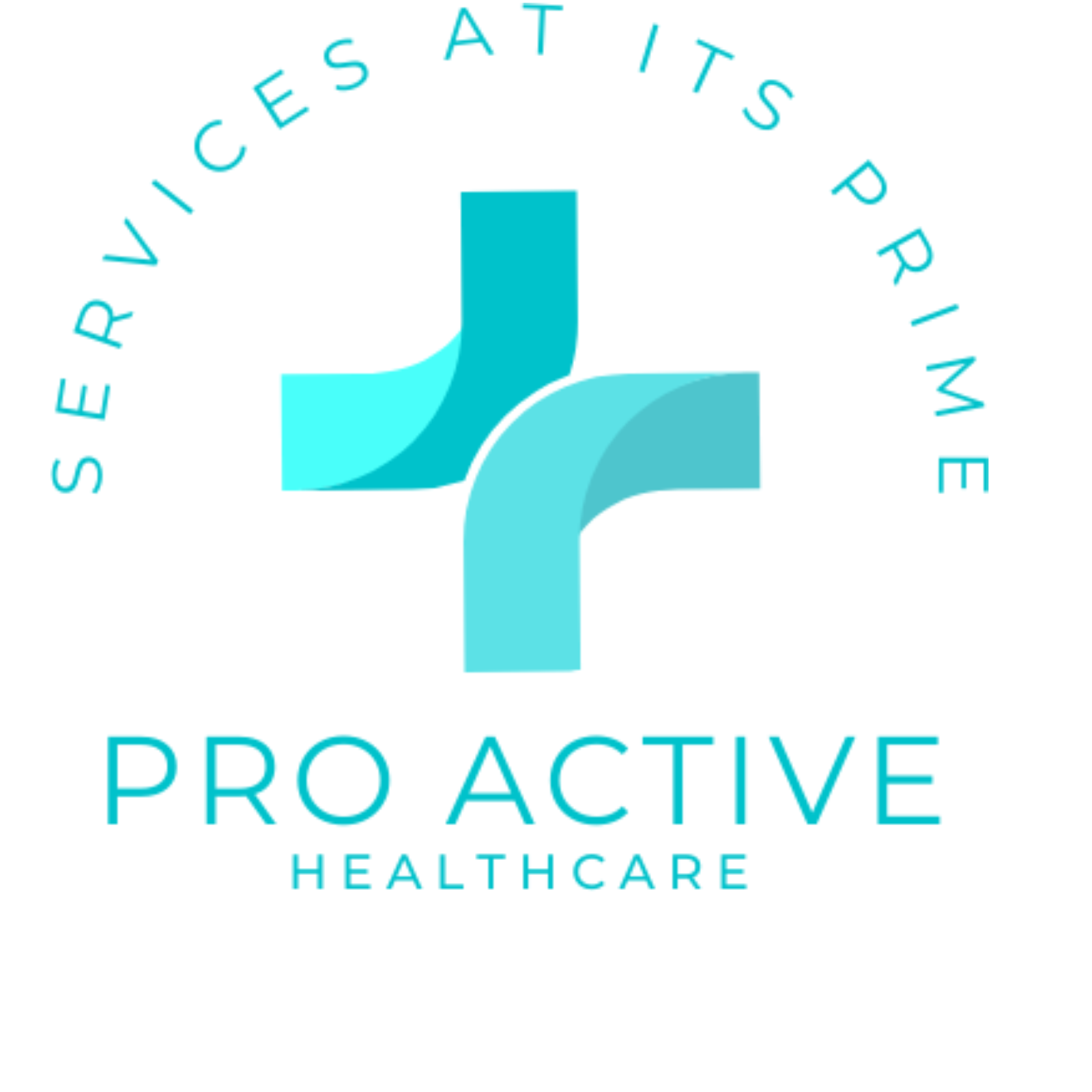 Proactive21 Services