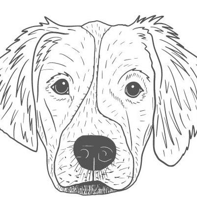 Bark Fluencer