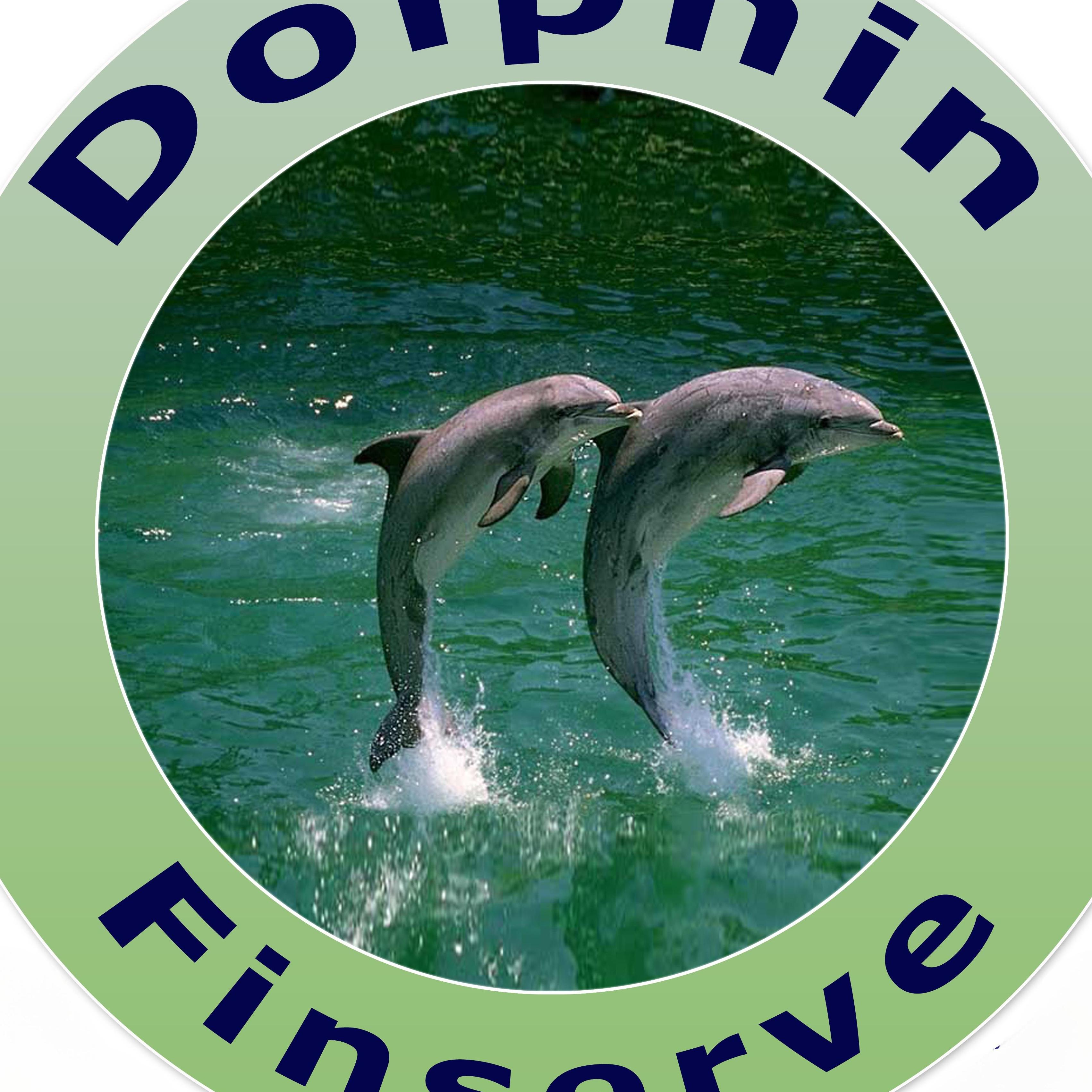 Dolphin FinServe