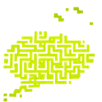 Brainmine India
