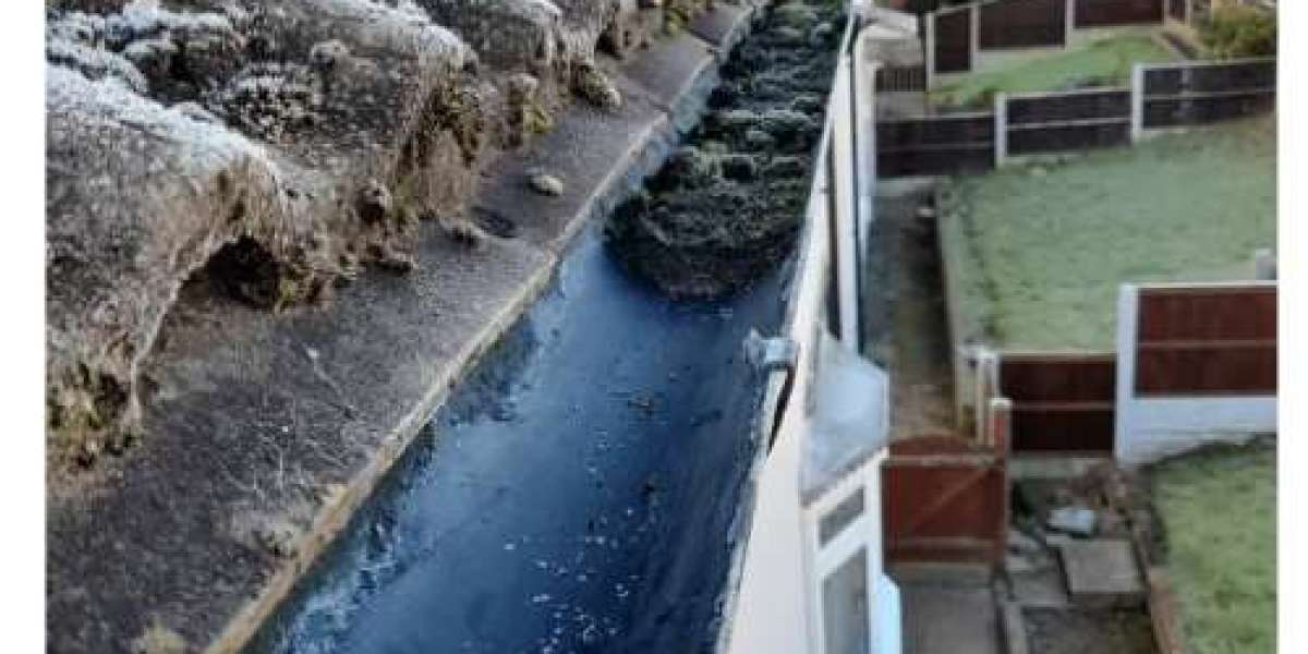 Clean Gutters, Clean Home