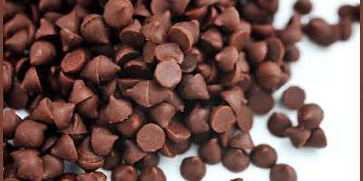 Conjuring Confectionary Wonders Inside RPG Industries Chocolate Chips Supplier