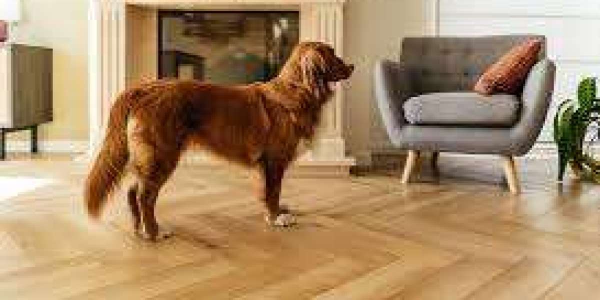SPC Flooring Pros and Cons: What You Should Know in 2024