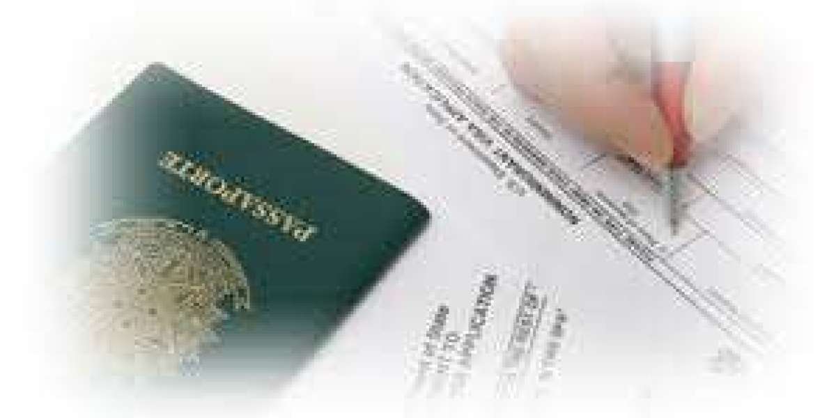 Efficient Immigration Consultancy in Gurgaon