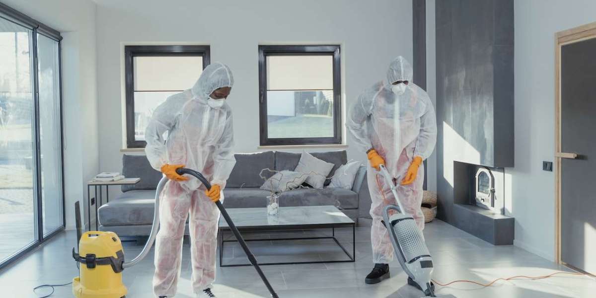 Creating a Clean and Healthy Home with Carpet Cleaning