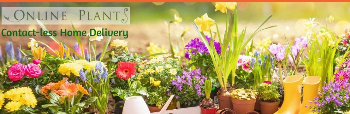 plants online