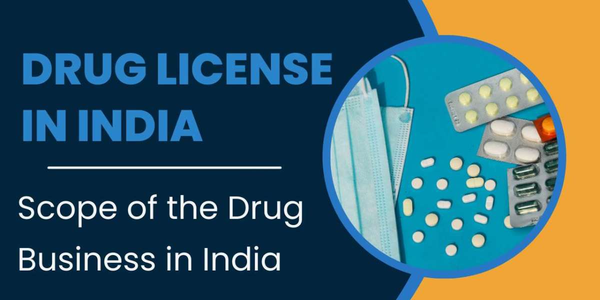 Understanding the Pharmaceutical Industry in India