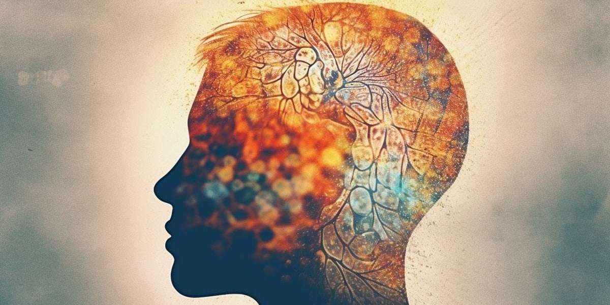 Cómo Elegir Suplementos Naturales en Estados Unidos para Tu Bienestar