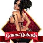 gatasdobabado34