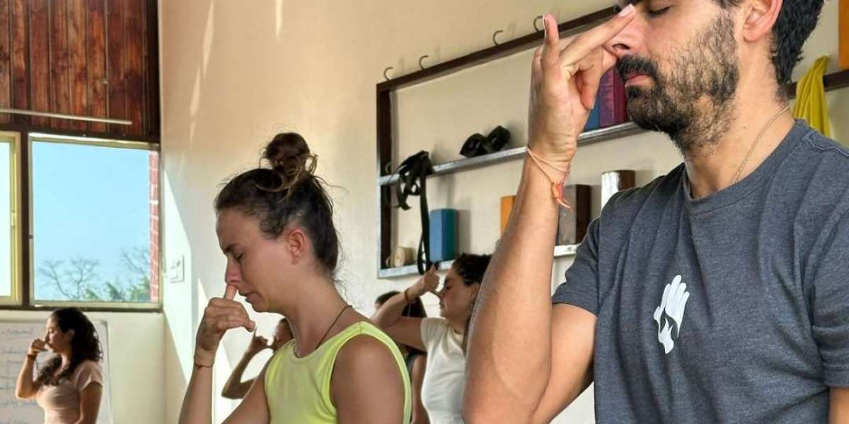Hatha Yoga School in India: Transform Your Practice