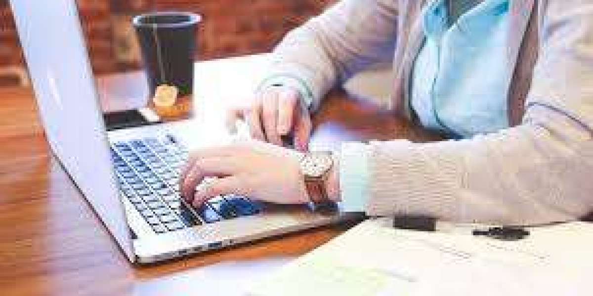 College Assignment Help