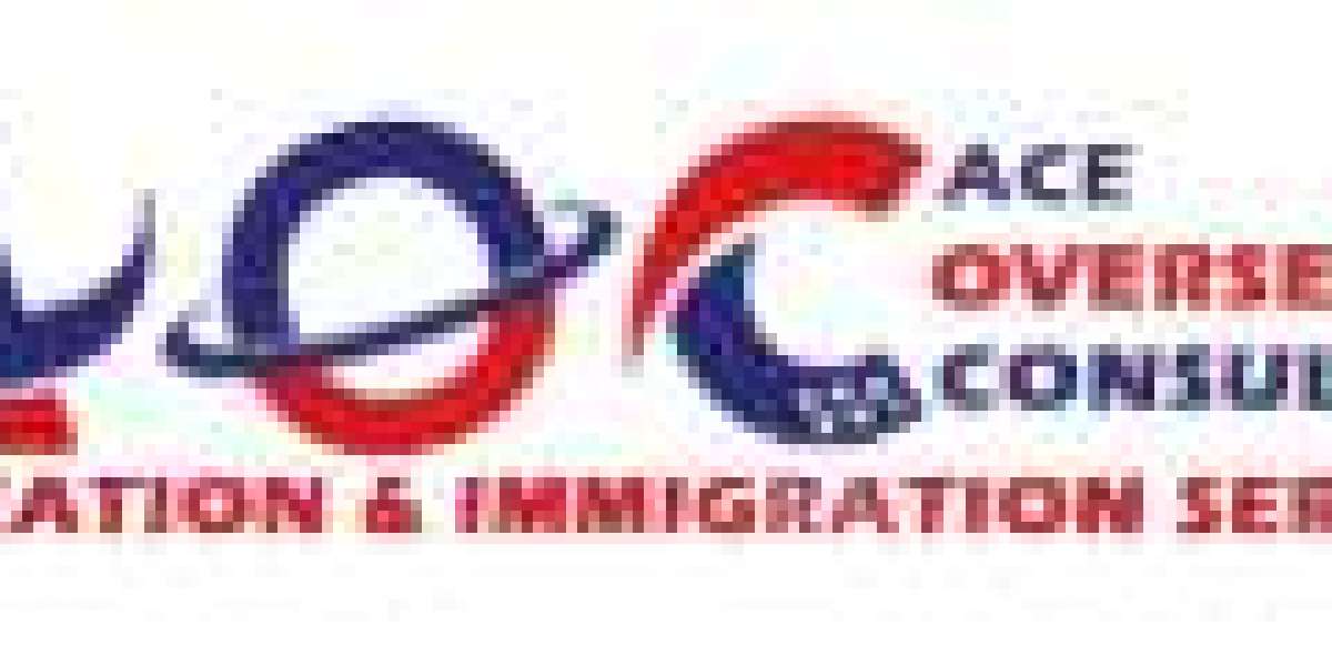 Top Study Abroad Consultants in Delhi: Your Gateway to Global Education