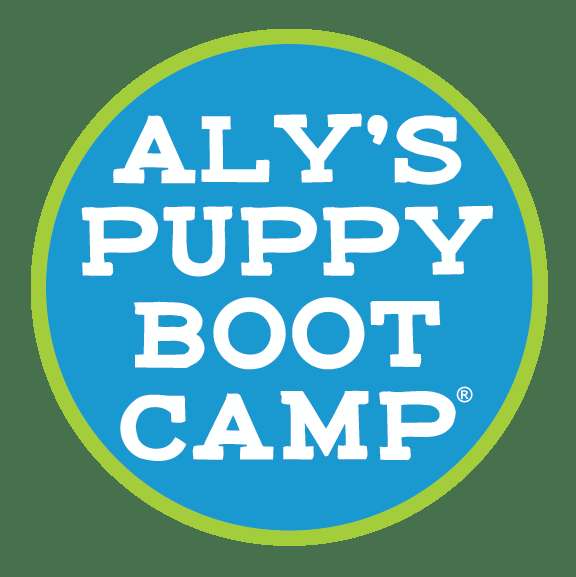 Aly's Puppy Boot Camp