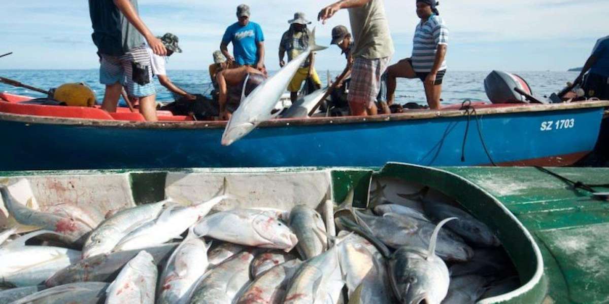 Fishing Trip in Qatar: A Thrilling Adventure on the Arabian Gulf