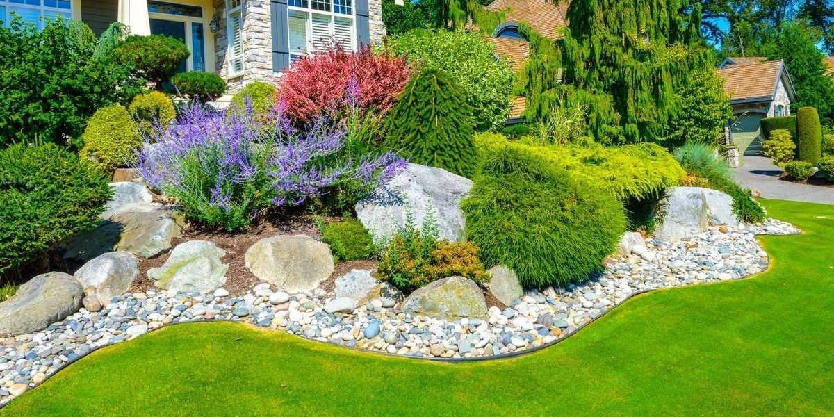 What to Expect from a Professional Landscaping Service