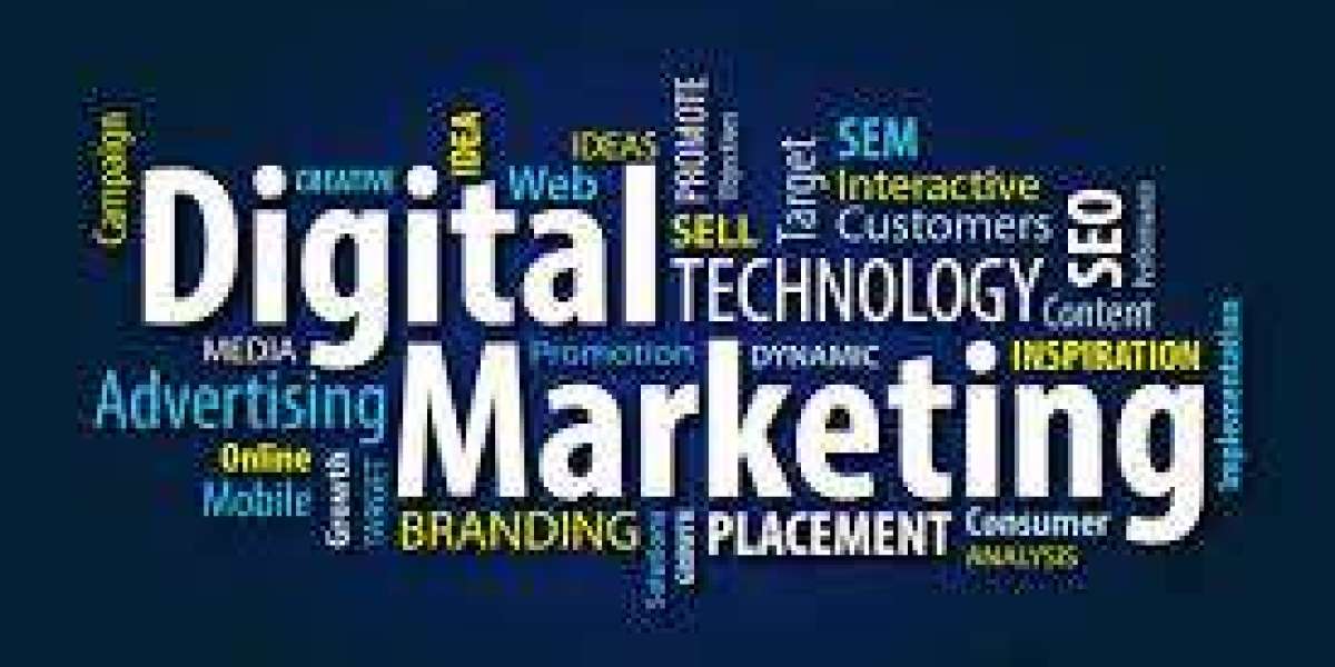 Best Website Development Company in Coimbatore – Blackstone Infomatics