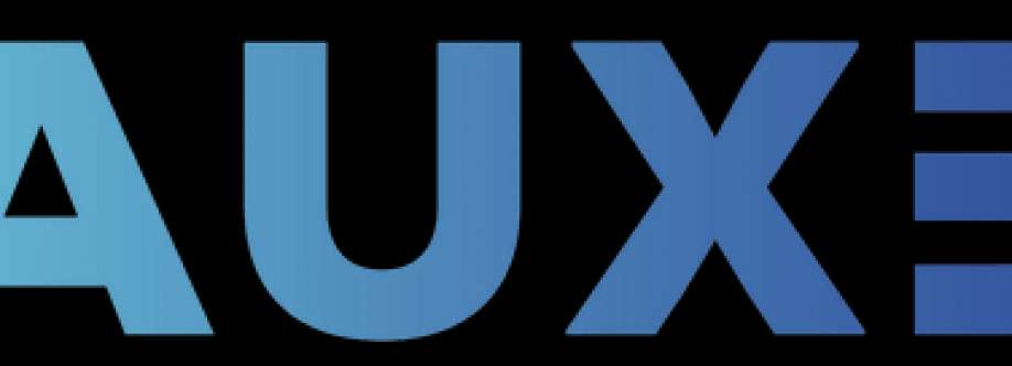 Auxe TV Mounting