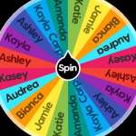 Wheel Spinner