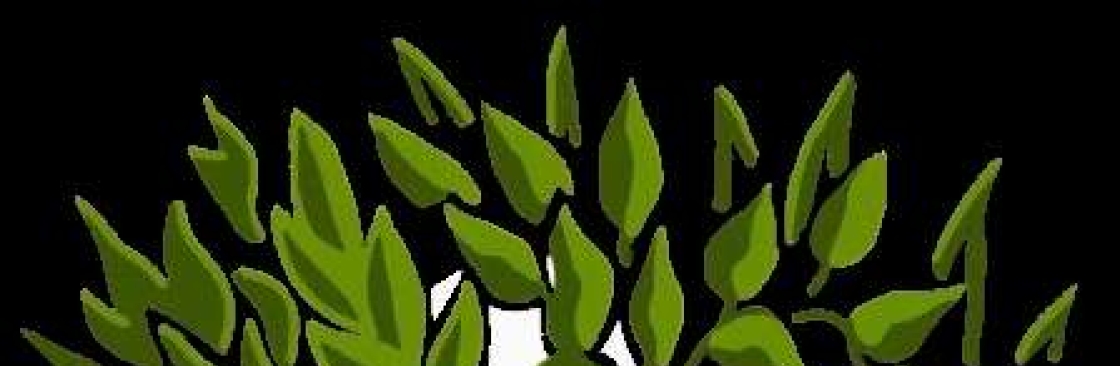 plant to home