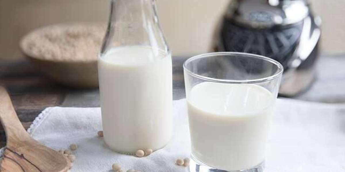 Milk Processing Plant Setup: Costs, Equipment & Strategy