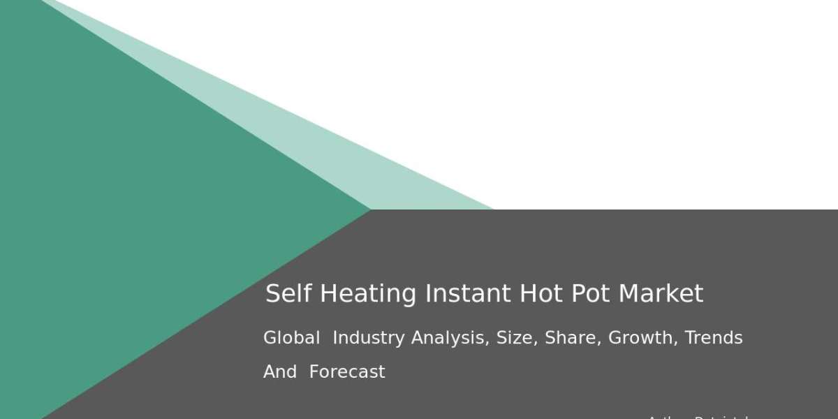 Self-Heating Instant Hot Pot Market Business Insights & Global Expansion