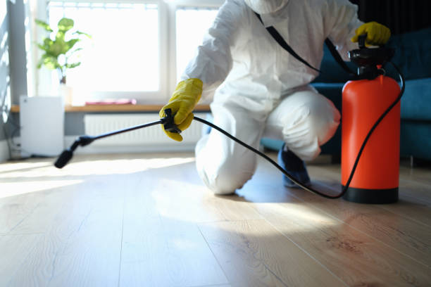 How Pest Control Protects Your Family & Property