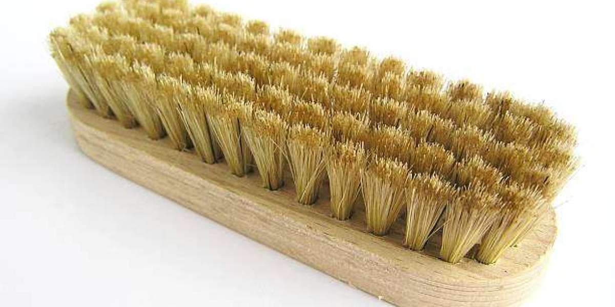 The Essential Guide to Brush Clearing in Conroe: How to Get Started
