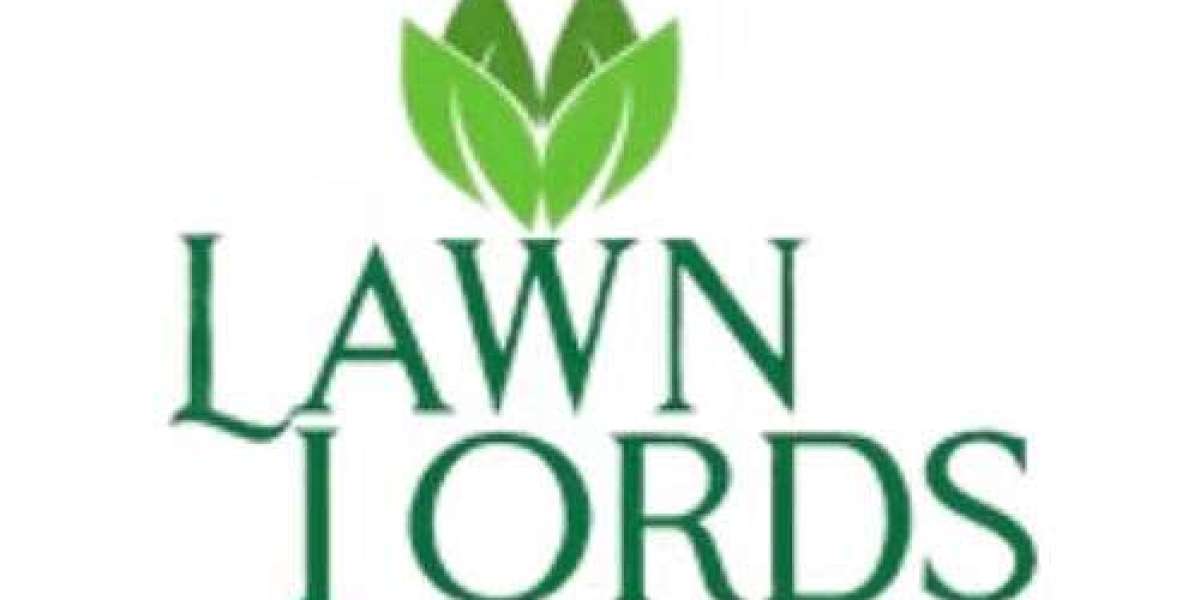 Transform Your Lawn with Professional Landscaping Services