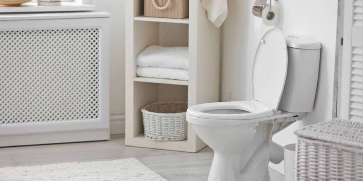 The Cost of Blocked Toilets Woking and How to Save Money