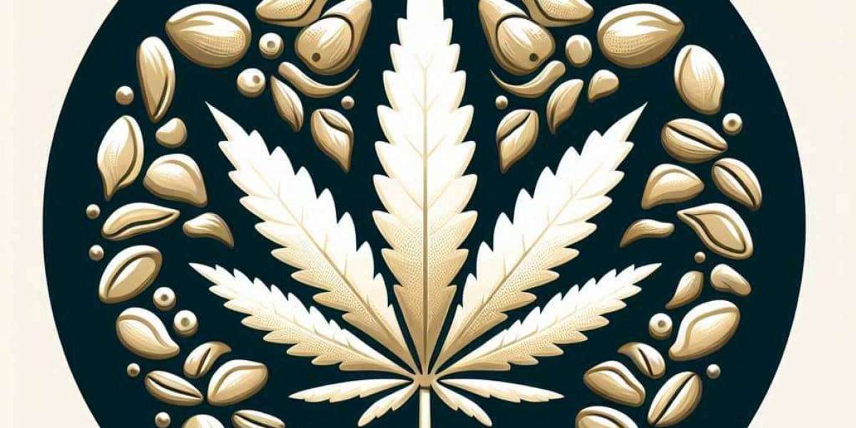 White Widow: Finding the Best Climate for This Legendary Strain