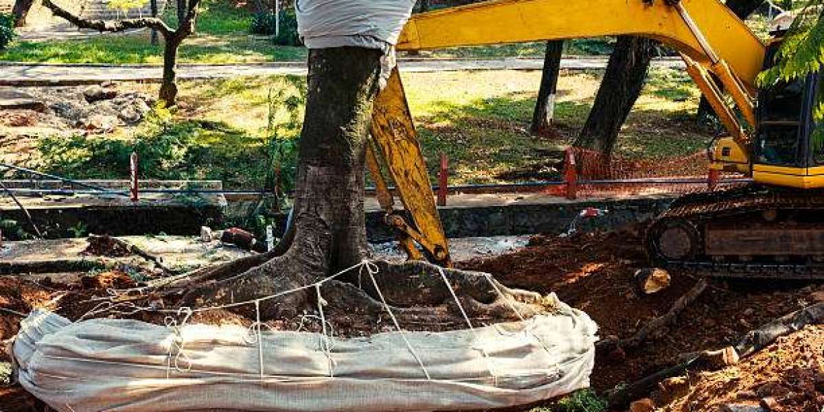 Fast and Reliable Tree and Root Removal for Overgrown Spaces