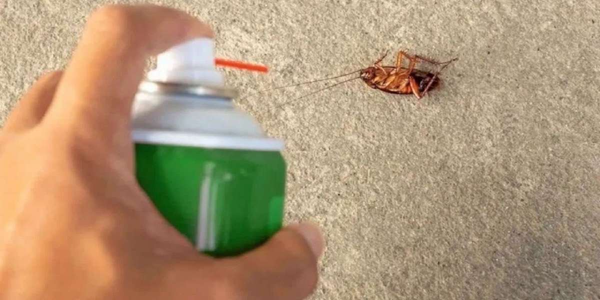 Cockroach Control Kitchener: Effective Methods to Eliminate Pests