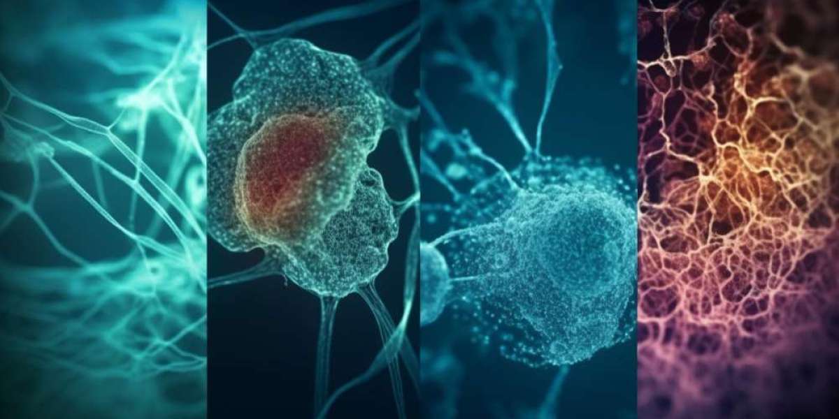 Glioblastoma Multiforme: 13 Key Questions Answered to Help You Navigate This Diagnosis