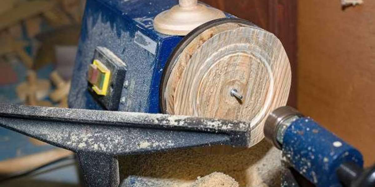 Hire the Best Stump Grinding Service – Affordable & Hassle-Free