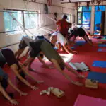 Yoga Teacher Training in India | Mahi Yoga