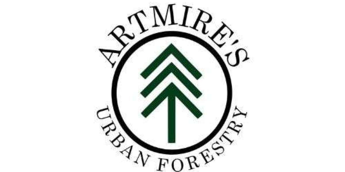 Professional Tree Removal for a Safer Property