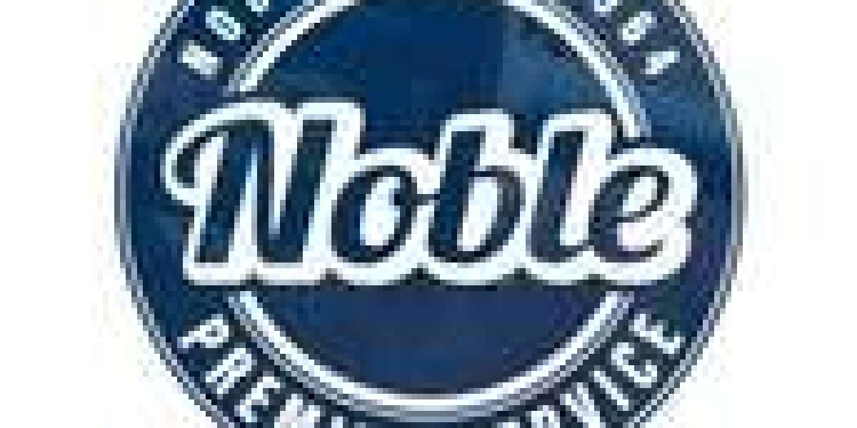 Why Choose Noble Plumbing Pros for Your Plumbing Needs?