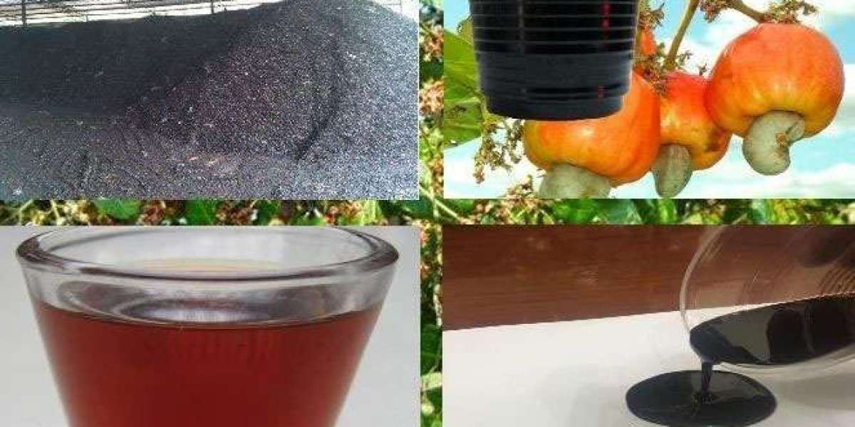 Report on Cost Requirements for Setting Up a Cashew Nut Shell Oil Manufacturing Plant