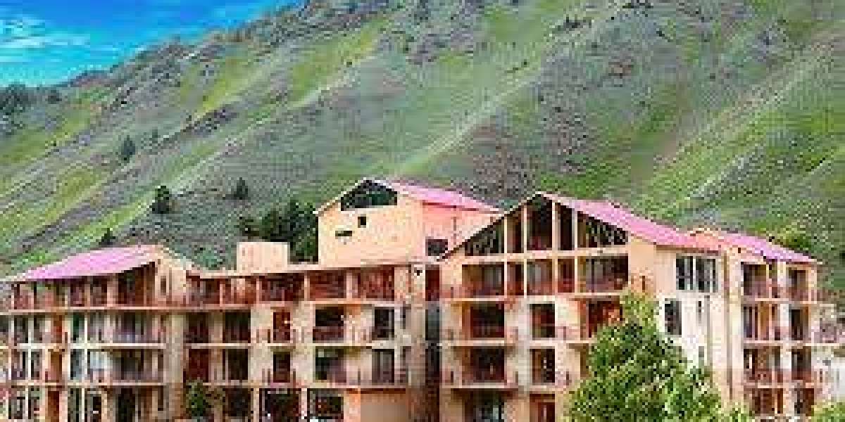 Top 5 Boutique Hotels & Guesthouses in Nathia Gali for a Cozy Stay