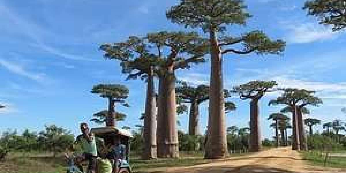 Madagascar eVisa for UK Citizens: Everything You Need to Know