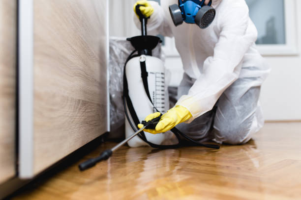 Top Reasons to Choose Professional Pest Control