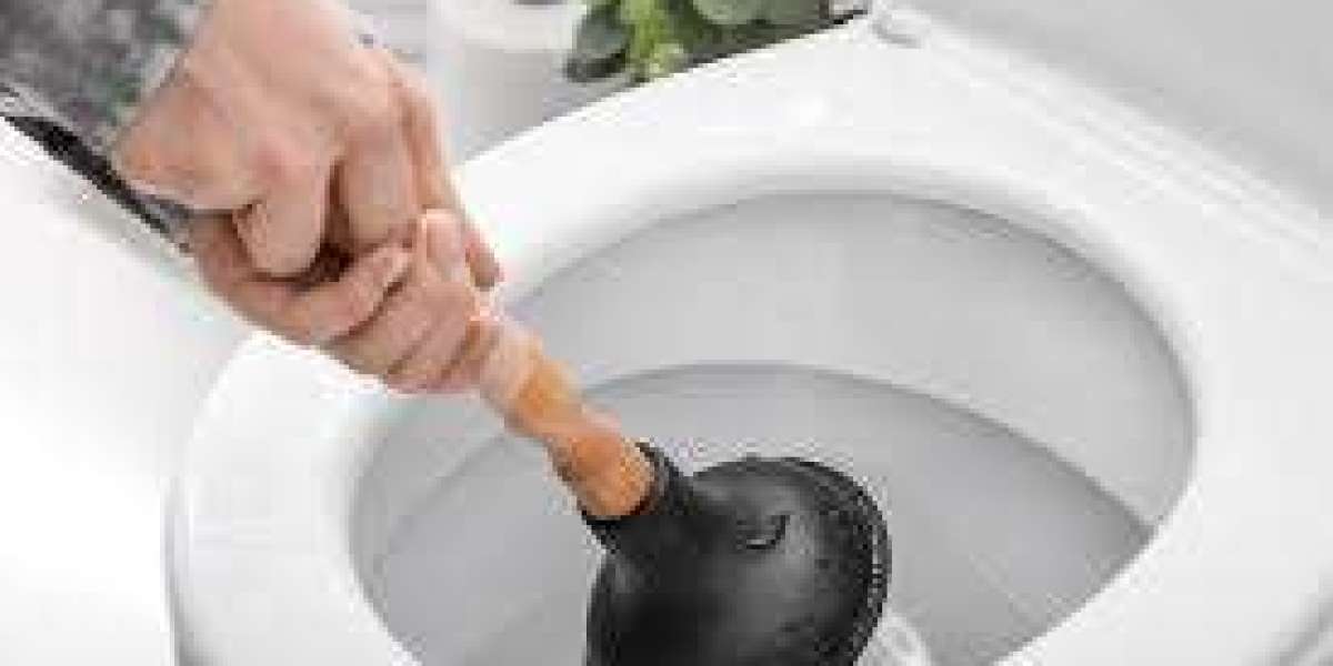 How to Fix a Clogged Toilet: Causes, Solutions, and Prevention